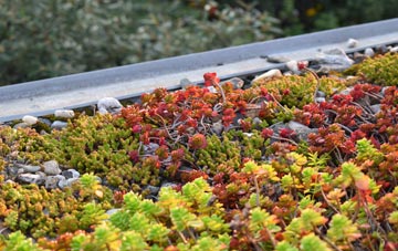 the cost of Far Coton green roof installation