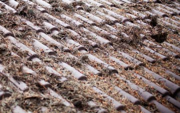 Far Coton roof cleaning companies